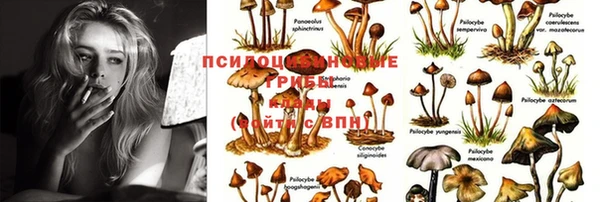 винт Наволоки